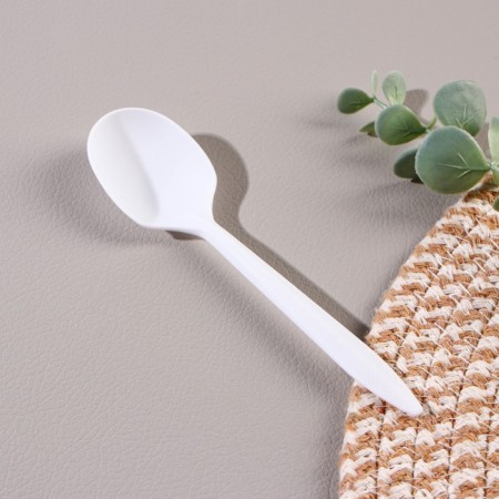 A disposable tablespoon “Bio Eco Standard S”, 14 × 3.5 cm, color mix-1