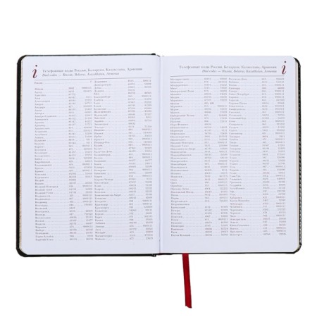 Diary of a low -end A5+, 136 sheets of Sidney Nebraska, hard cover, artificial leather, silver cut, black-7