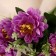 Bouquet "Herbera Large Galant" 8x30 cm, mix