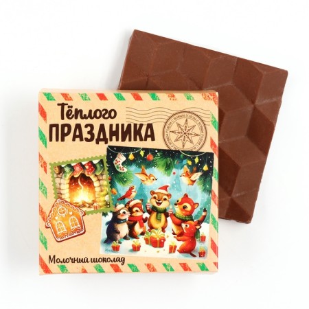 Chocolate in the box "Warm holiday", 50 g