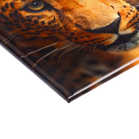 Diary for grades 5-11, “leopard”, solid cover 7BC, glossy lamination, 48 sheets-2