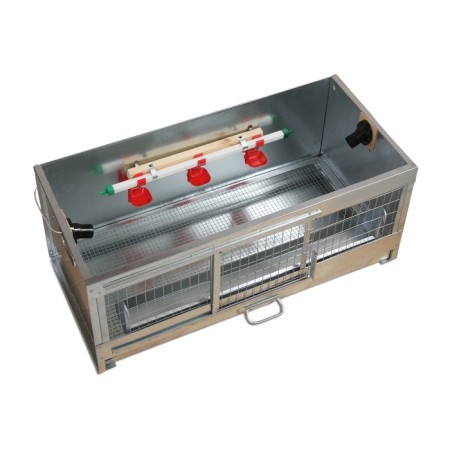 Bruder for chickens, 100 × 40 × 45 cm, with a pallet, a feeder and a drinker, metal-2