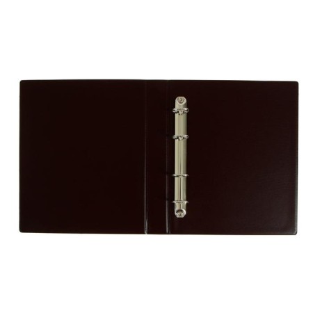 Album for coins on rings, optima format 230 x 265 mm Calligrata, includes up to 20 sheets, PVC cover, brown-2