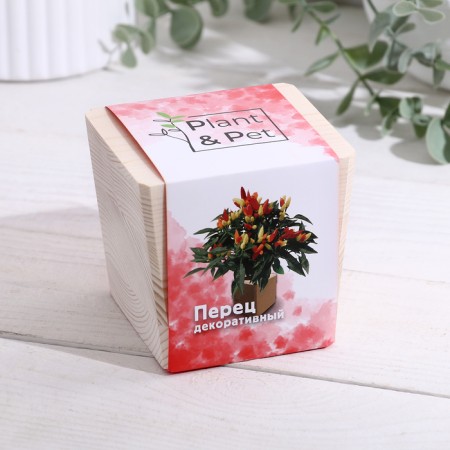 Set for growing P&P "Decorative pepper"