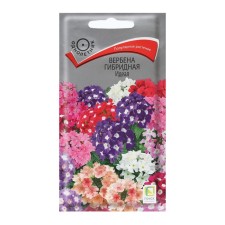 Verben Flowers 