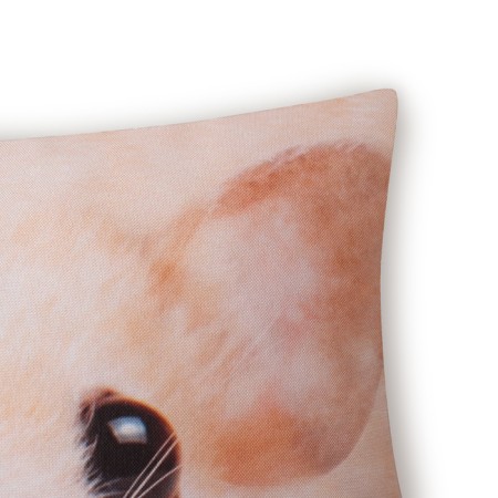 Decorative Ethel Pillow "Hamster" 40x40 cm, Gabardin, 100% p/e-3