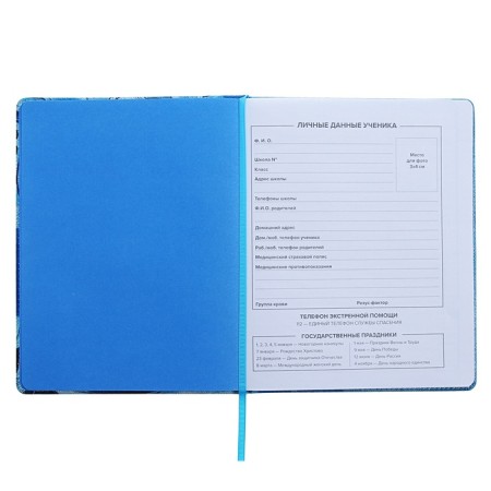 Universal Diary Grade 1-11, 48 sheets "jeans", a solid cover of artificial leather, lam-5
