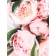 Package Gift Laminated Horizontal "White Budons", L 40 × 31 × 14 cm