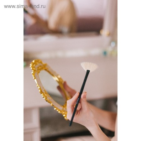 Premium Brush makeup, fan, in a case, 20 cm, black color-5
