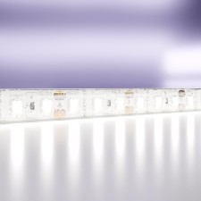 LED tape Maytoni, 12V, IP65, 2835, 9.6W/m, 6000k, 5 m, monochrome glow