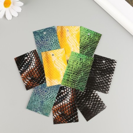 Cardboard "Snow Skin" set 10 pcs (5 types) 4x6 cm-1