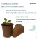 Peat pot, 400 ml, 9 × 9 cm