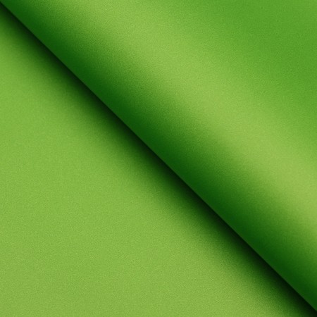 Matte film, neon colors, green, 0.5 x 10 m, 65 μm-2