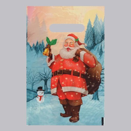 Package "Sounds of the holiday", polyethylene with a cut pen, 20x30 cm, 30 μm