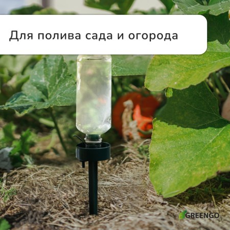 Auto-polyove for indoor plants, under a bottle, adjustable, dark green, plastic, height 25 cm, Greengo-3