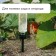 Auto-polyove for indoor plants, under a bottle, adjustable, dark green, plastic, height 25 cm, Greengo