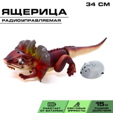 Animal radio -controlled 