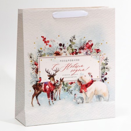 Laminated vertical package “Congratulations to you”, m 30 x 26 x 9 cm, New Year-3