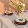 Calm Calm 110x146 cm tablecloth, 100% HL, moward 186 g/m2