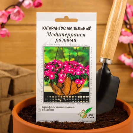 Flower seeds Cataranth AMP. Mediterranen, Pink, 7 pcs