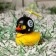Duck with propeller, yellow color, eight