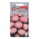 Flower seeds Astra Pionovid "Apricot Tower", 0.3g.