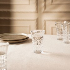 A set of glass glass SL Home 