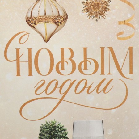 Package for the bottle "Champagne", 13 x 36 x 10 cm, New Year-5
