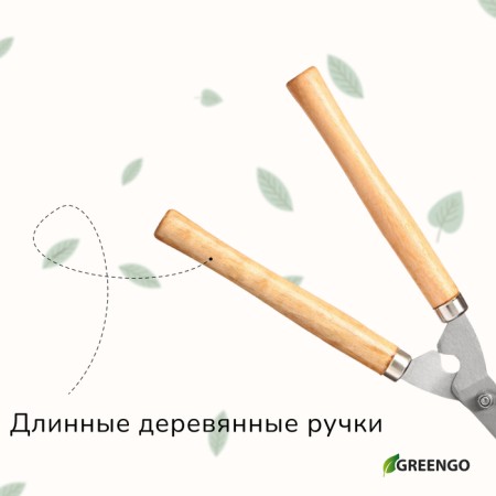 Kustorez, 19 "(48 cm), with wooden handles, Greengo-5