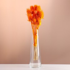 A set of dried flowers 