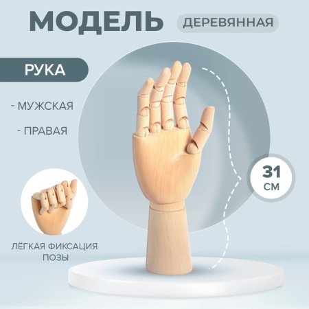 Model wooden art mannequin "Male Right Hand" 31 cm