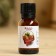 Essential oil "Cedar", a dropper bottle, abstract, 15 ml