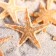 A set of natural sea stars, 1.5 - 2.5 cm, 20 pcs