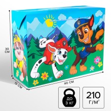 Package-Korobok, 40 x 30 x 15 cm, packaging, puppy patrol