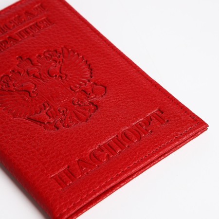 Cover for passport, red color-3