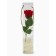 Soap rose of burgundy in a box