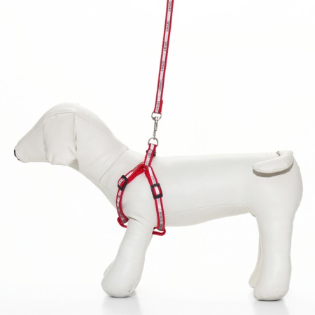 Sports set a reflective, leash 120 x 1 cm, fire 23-35 cm, red-1