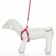 Sports set a reflective, leash 120 x 1 cm, fire 23-35 cm, red