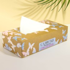 Paper napkins in the box 
