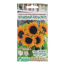 Seeds Sunflower decorative 