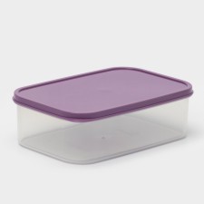 Dolyana Container 1.2 l, purple color