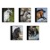 Notebook of 48 sheets in the Erichkrause "horse", cover coated cardboard, offset block 100% whiteness, mix