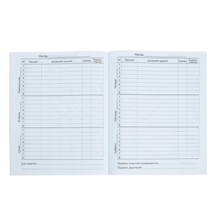 Universal diary for grades 1-11, Gossimvolika of Russia-4, soft cover, 40 sheets-5