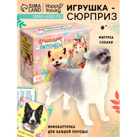 Toy - surprise "Pets. Dogs "