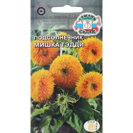 Flower seeds sunflower "Bear Taddy" F1 1 g