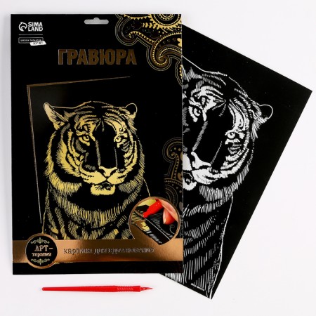Engraving. Set of engravings "Family of cats", A4, 4 pcs-6