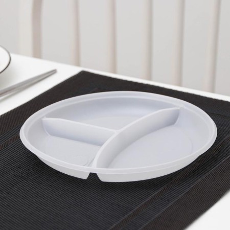 Plastic plastic disposable, d = 20.5 cm, 3 sections, white color