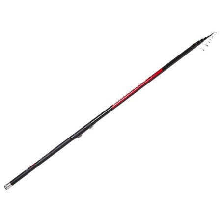 Salmo Diamond Bolognes Medium MF, test 5-20 g, length 6 m.