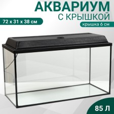 Aquarium 