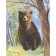 Bear. The most Russian beast. Lapshina D.